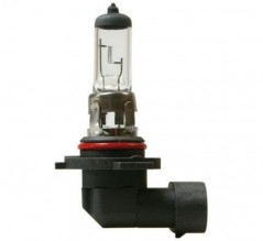 H10 Halogen Glhbirne 12V 42W PY20D, 1 Stck im Blister