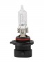 Osram OSRAM-Lampe, HB3A, 12V, 60W, P20d, 1 St. im Karton